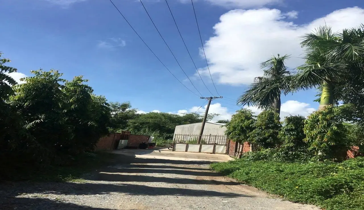 Đường vào trang trại, cột điện dọc lối