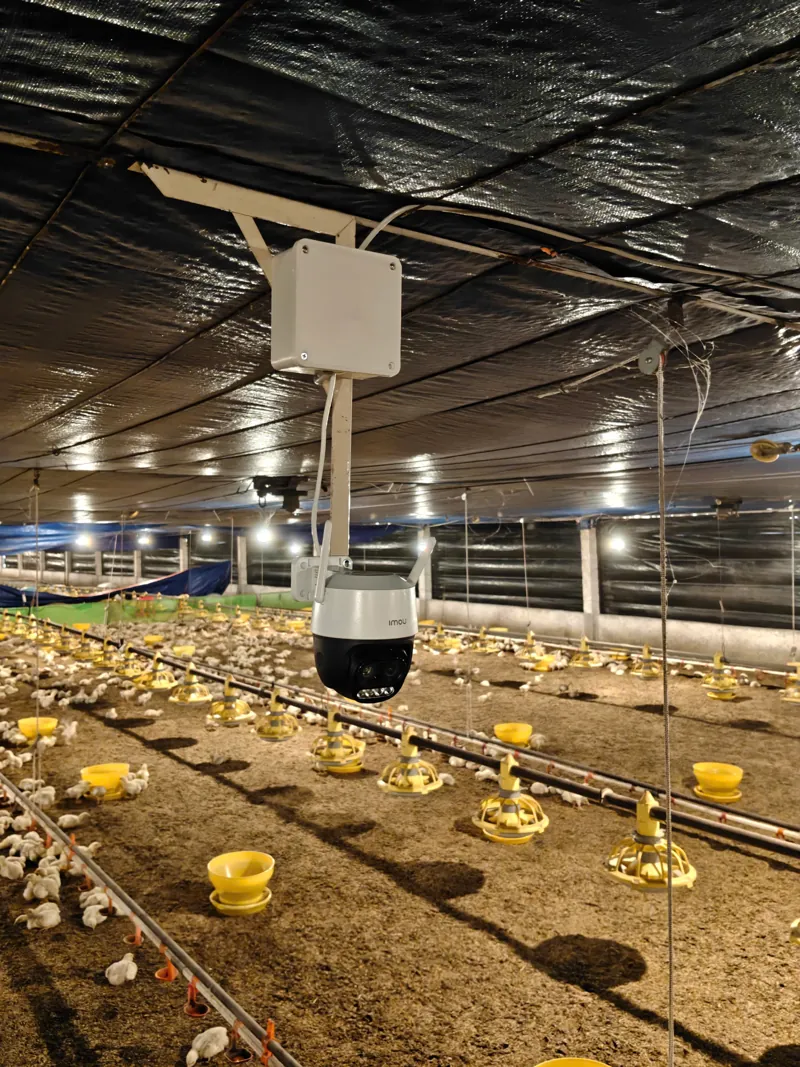 Camera trong chuồng