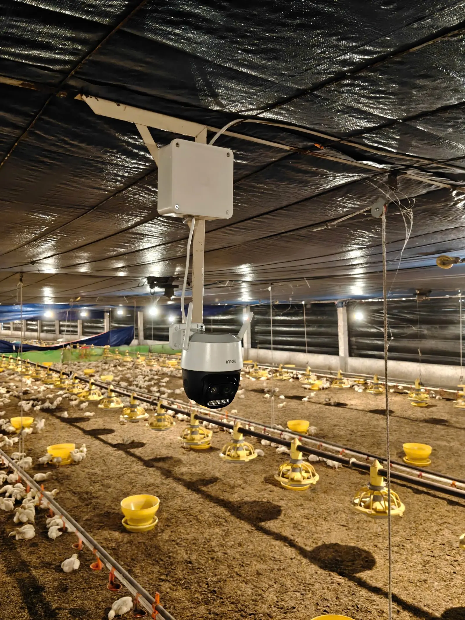 Camera giám sát lắp trong chuồng gà