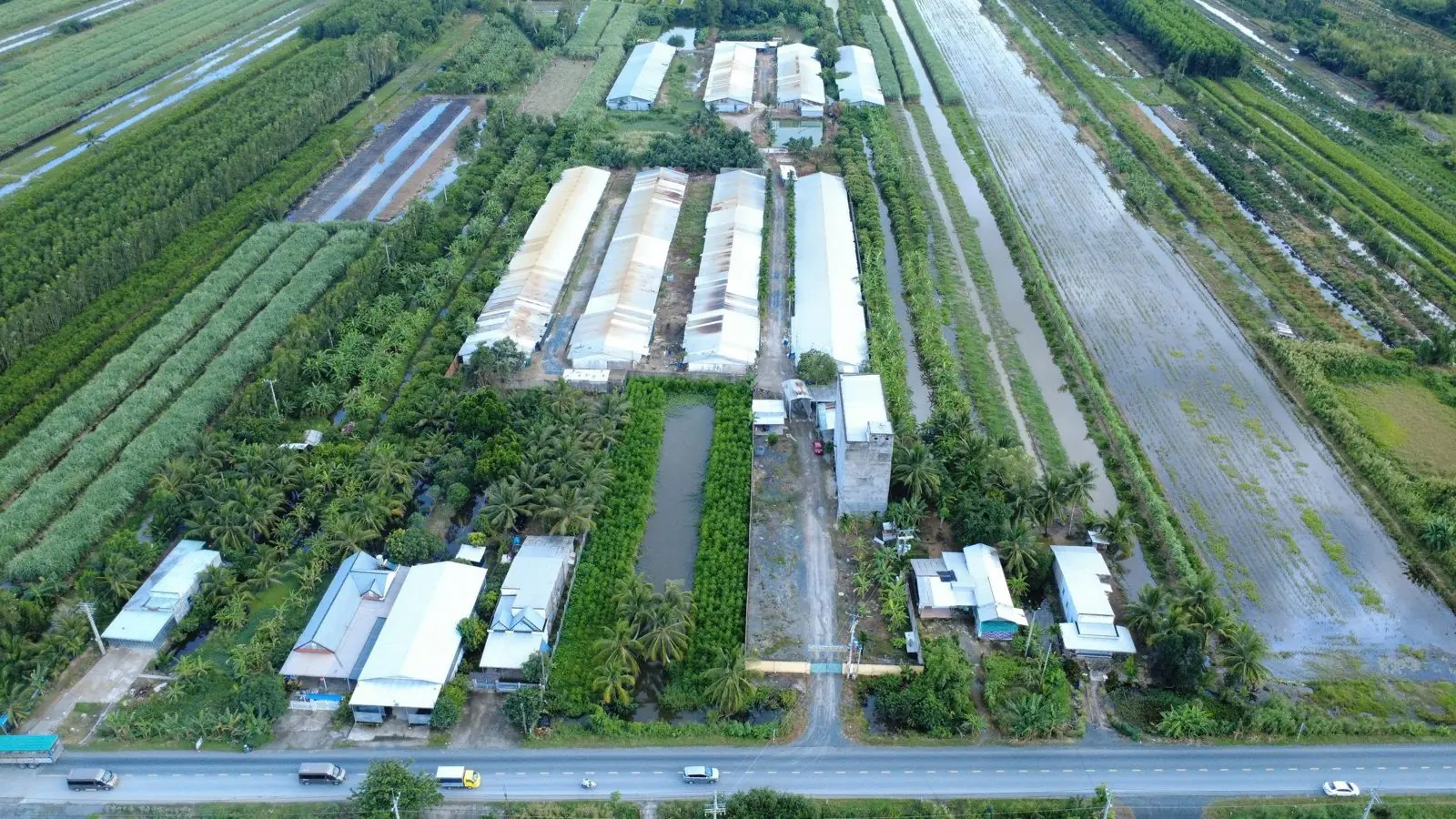 Chuỗi trang trại gà do K39 thi công mạng và camera